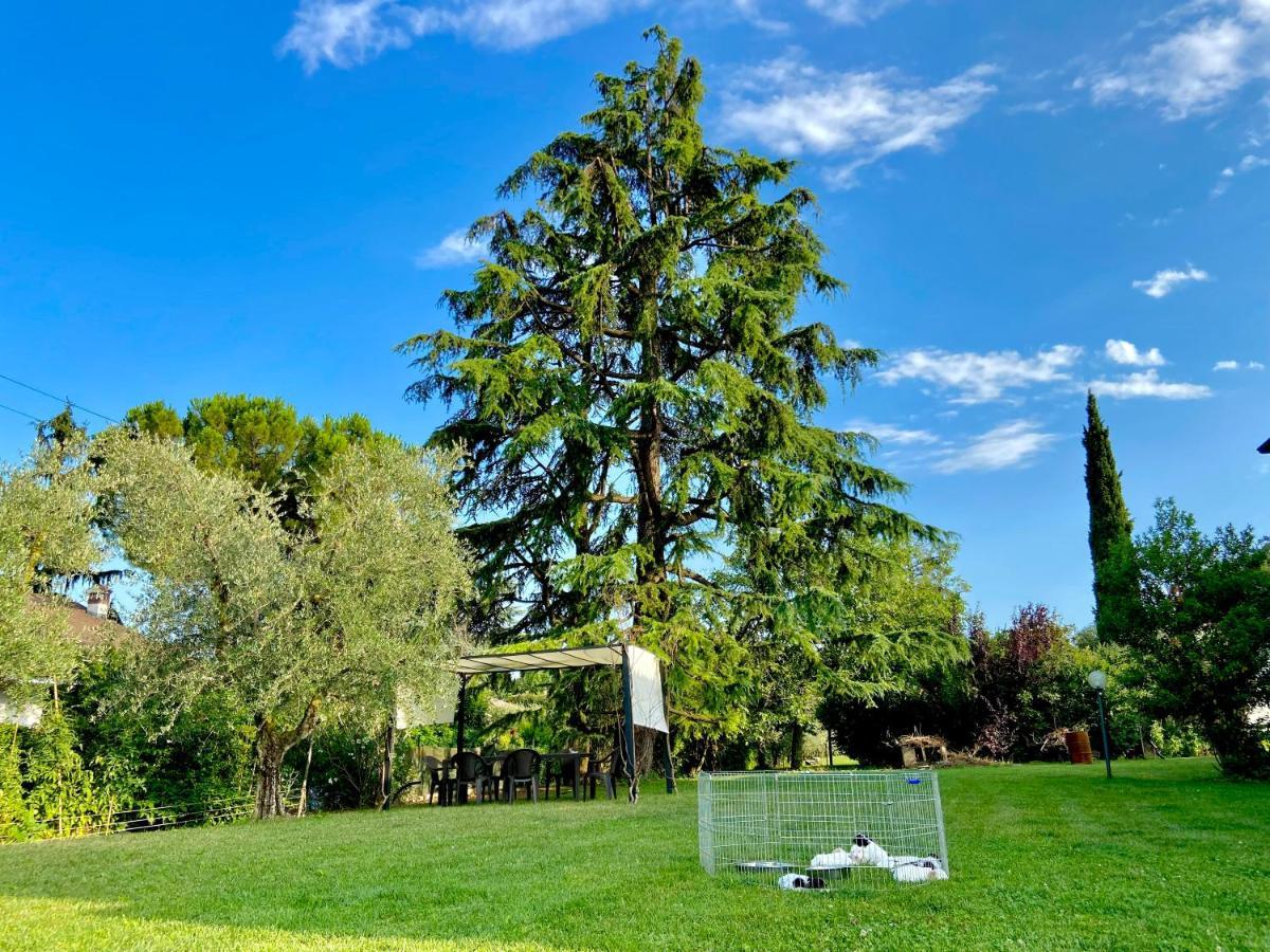 B&B Controvento Soiano Soiano Del Lago Εξωτερικό φωτογραφία